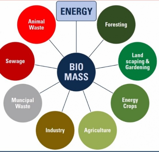 Biomass energy for Industry – Technology and Application